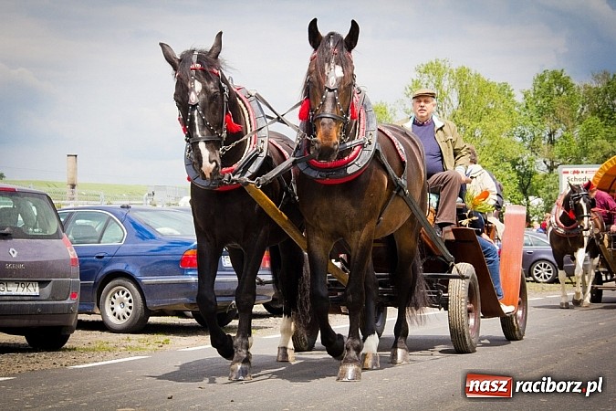 Zdjęcie w galerii na portalu naszraciborz.pl: Konna majówka w Pawłowie  wiadomości z regionu