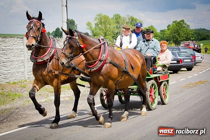 Zdjęcie w galerii na portalu naszraciborz.pl: Konna majówka w Pawłowie  wiadomości z regionu