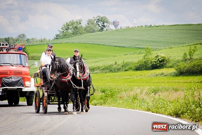 Zdjęcie w galerii na portalu naszraciborz.pl: Konna majówka w Pawłowie  wiadomości z regionu