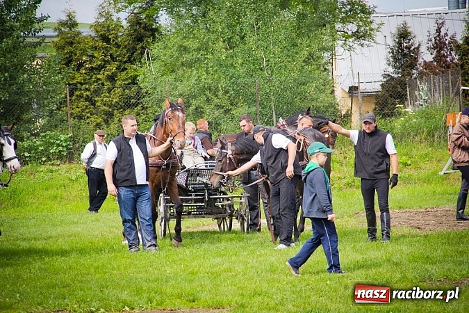 Zdjęcie w galerii na portalu naszraciborz.pl: Konna majówka w Pawłowie  wiadomości z regionu