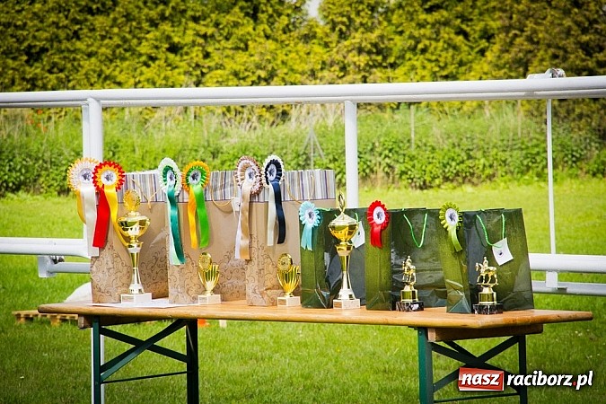 Zdjęcie w galerii na portalu naszraciborz.pl: Konna majówka w Pawłowie  wiadomości z regionu