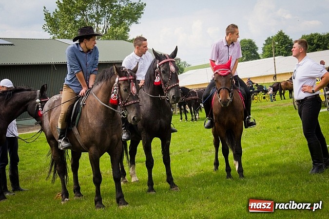 Zdjęcie w galerii na portalu naszraciborz.pl: Konna majówka w Pawłowie  wiadomości z regionu