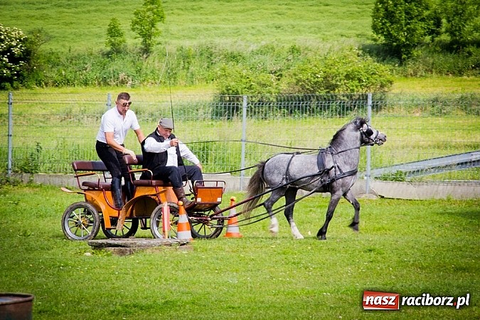 Zdjęcie w galerii na portalu naszraciborz.pl: Konna majówka w Pawłowie  wiadomości z regionu