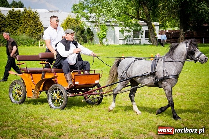 Zdjęcie w galerii na portalu naszraciborz.pl: Konna majówka w Pawłowie  wiadomości z regionu
