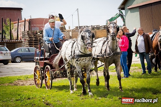 Zdjęcie w galerii na portalu naszraciborz.pl: Konna majówka w Pawłowie  wiadomości z regionu