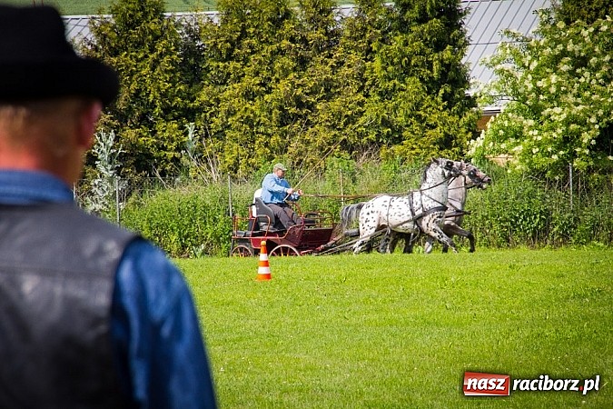 Zdjęcie w galerii na portalu naszraciborz.pl: Konna majówka w Pawłowie  wiadomości z regionu