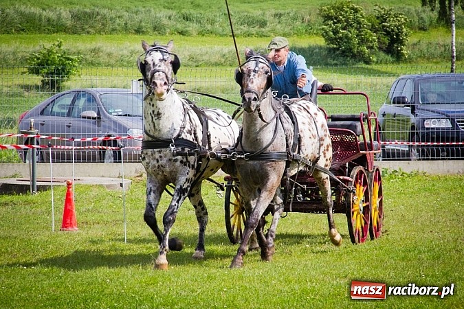 Zdjęcie w galerii na portalu naszraciborz.pl: Konna majówka w Pawłowie  wiadomości z regionu