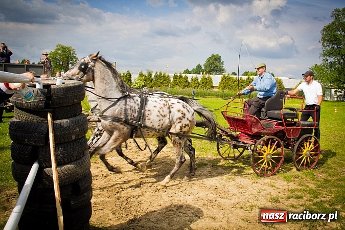 Zdjęcie w galerii na portalu naszraciborz.pl: Konna majówka w Pawłowie  wiadomości z regionu
