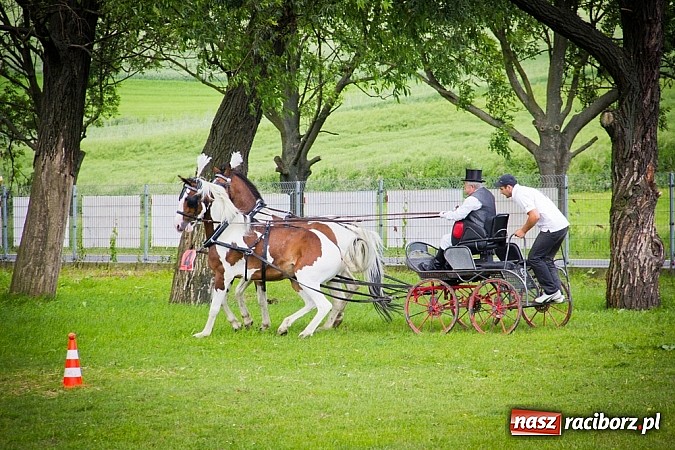 Zdjęcie w galerii na portalu naszraciborz.pl: Konna majówka w Pawłowie  wiadomości z regionu