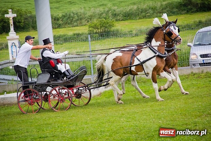 Zdjęcie w galerii na portalu naszraciborz.pl: Konna majówka w Pawłowie  wiadomości z regionu
