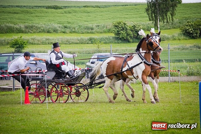 Zdjęcie w galerii na portalu naszraciborz.pl: Konna majówka w Pawłowie  wiadomości z regionu