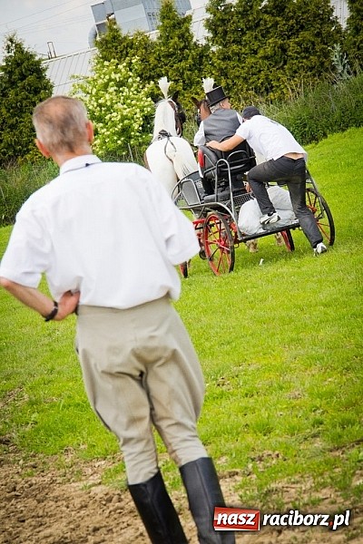 Zdjęcie w galerii na portalu naszraciborz.pl: Konna majówka w Pawłowie  wiadomości z regionu