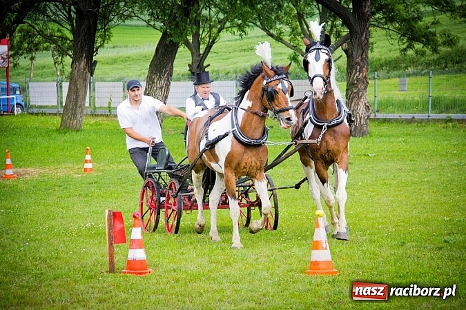 Zdjęcie w galerii na portalu naszraciborz.pl: Konna majówka w Pawłowie  wiadomości z regionu