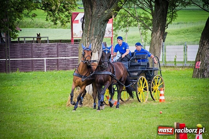 Zdjęcie w galerii na portalu naszraciborz.pl: Konna majówka w Pawłowie  wiadomości z regionu