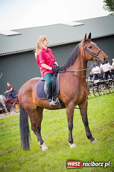 Zdjęcie w galerii na portalu naszraciborz.pl: Konna majówka w Pawłowie  wiadomości z regionu