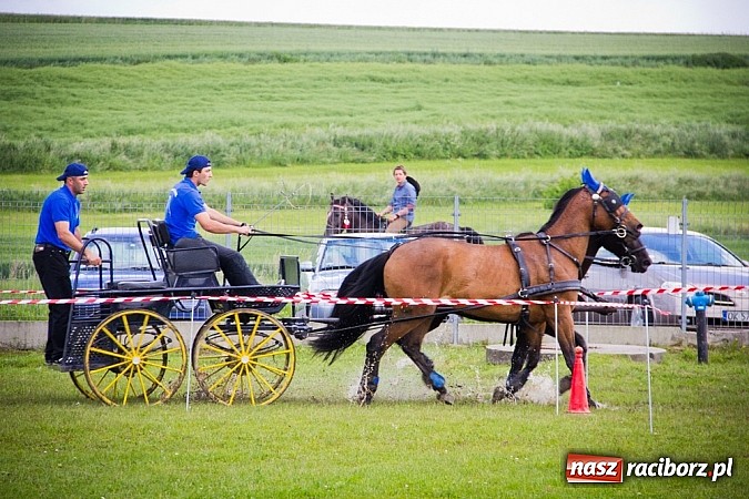 Zdjęcie w galerii na portalu naszraciborz.pl: Konna majówka w Pawłowie  wiadomości z regionu