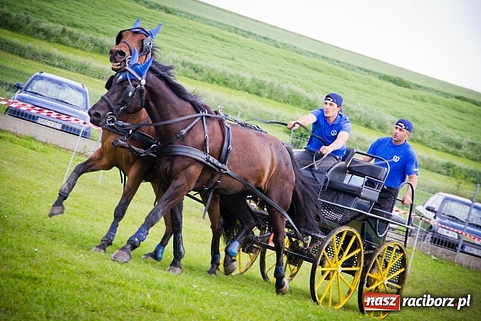 Zdjęcie w galerii na portalu naszraciborz.pl: Konna majówka w Pawłowie  wiadomości z regionu