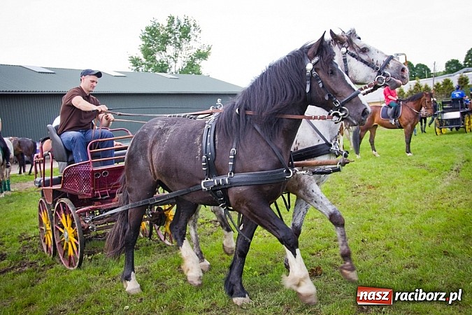 Zdjęcie w galerii na portalu naszraciborz.pl: Konna majówka w Pawłowie  wiadomości z regionu