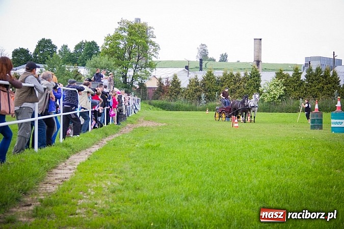 Zdjęcie w galerii na portalu naszraciborz.pl: Konna majówka w Pawłowie  wiadomości z regionu
