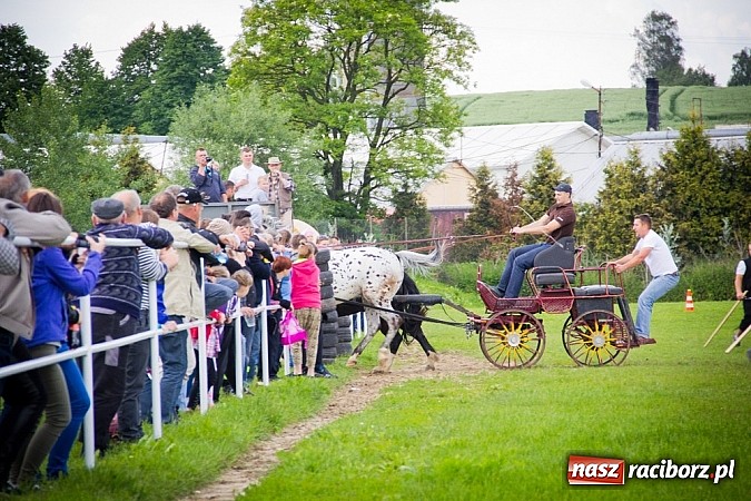 Zdjęcie w galerii na portalu naszraciborz.pl: Konna majówka w Pawłowie  wiadomości z regionu