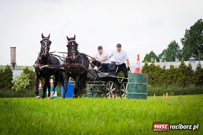 Zdjęcie w galerii na portalu naszraciborz.pl: Konna majówka w Pawłowie  wiadomości z regionu