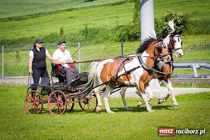 Zdjęcie w galerii na portalu naszraciborz.pl: Konna majówka w Pawłowie  wiadomości z regionu