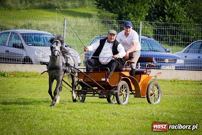 Zdjęcie w galerii na portalu naszraciborz.pl: Konna majówka w Pawłowie  wiadomości z regionu