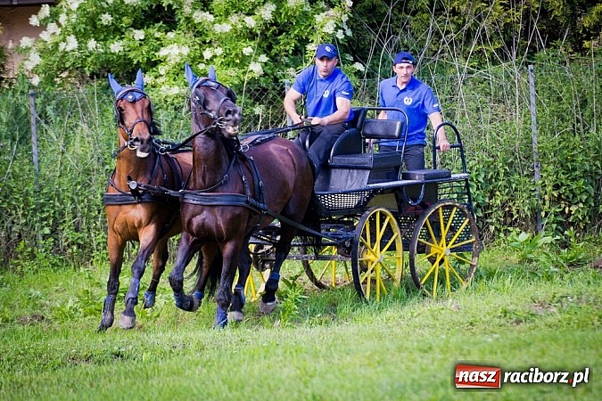 Zdjęcie w galerii na portalu naszraciborz.pl: Konna majówka w Pawłowie  wiadomości z regionu