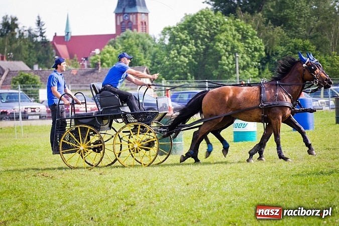 Zdjęcie w galerii na portalu naszraciborz.pl: Konna majówka w Pawłowie  wiadomości z regionu
