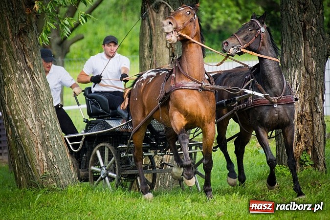 Zdjęcie w galerii na portalu naszraciborz.pl: Konna majówka w Pawłowie  wiadomości z regionu