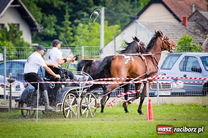 Zdjęcie w galerii na portalu naszraciborz.pl: Konna majówka w Pawłowie  wiadomości z regionu