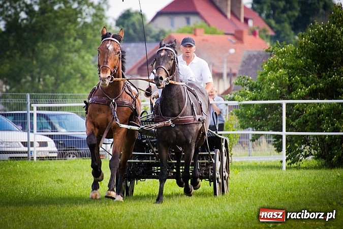 Zdjęcie w galerii na portalu naszraciborz.pl: Konna majówka w Pawłowie  wiadomości z regionu