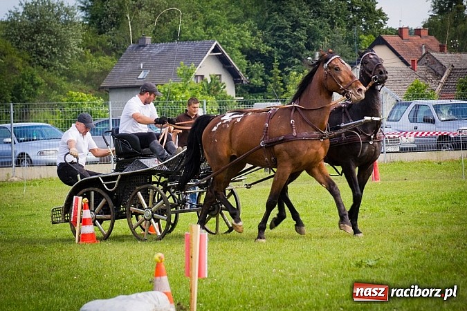Zdjęcie w galerii na portalu naszraciborz.pl: Konna majówka w Pawłowie  wiadomości z regionu