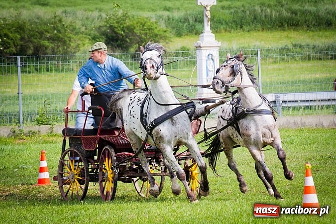 Zdjęcie w galerii na portalu naszraciborz.pl: Konna majówka w Pawłowie  wiadomości z regionu