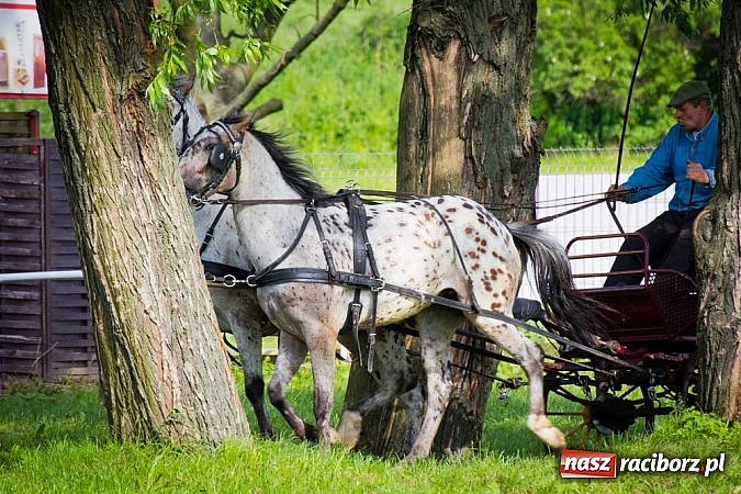 Zdjęcie w galerii na portalu naszraciborz.pl: Konna majówka w Pawłowie  wiadomości z regionu