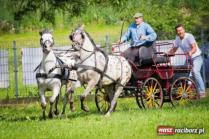 Zdjęcie w galerii na portalu naszraciborz.pl: Konna majówka w Pawłowie  wiadomości z regionu
