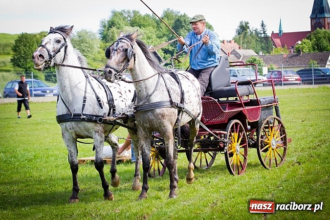 Zdjęcie w galerii na portalu naszraciborz.pl: Konna majówka w Pawłowie  wiadomości z regionu
