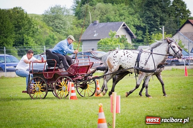Zdjęcie w galerii na portalu naszraciborz.pl: Konna majówka w Pawłowie  wiadomości z regionu