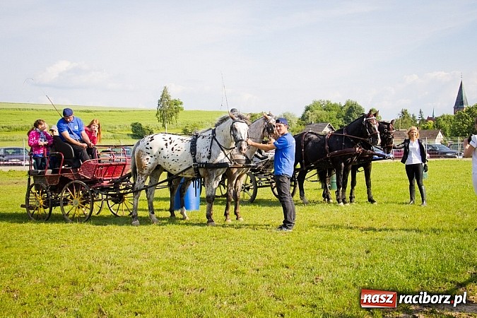 Zdjęcie w galerii na portalu naszraciborz.pl: Konna majówka w Pawłowie  wiadomości z regionu
