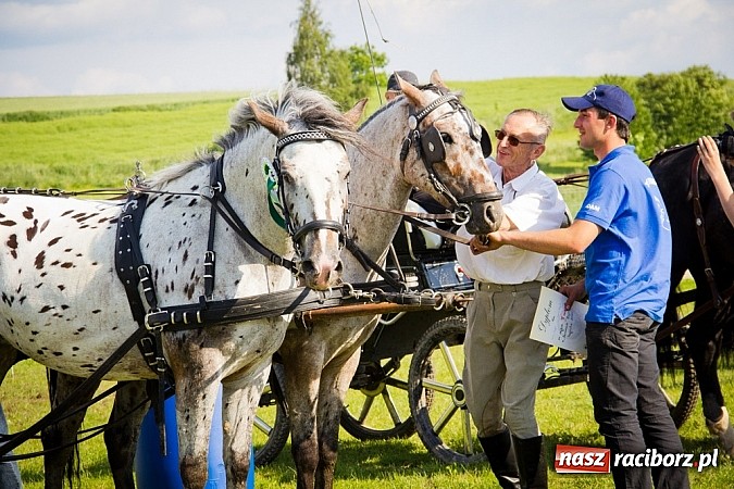 Zdjęcie w galerii na portalu naszraciborz.pl: Konna majówka w Pawłowie  wiadomości z regionu