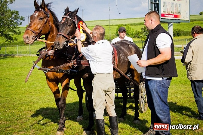 Zdjęcie w galerii na portalu naszraciborz.pl: Konna majówka w Pawłowie  wiadomości z regionu