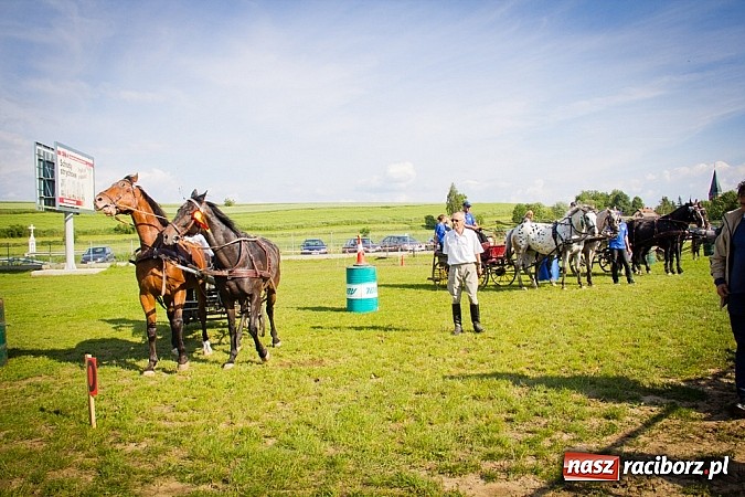 Zdjęcie w galerii na portalu naszraciborz.pl: Konna majówka w Pawłowie  wiadomości z regionu