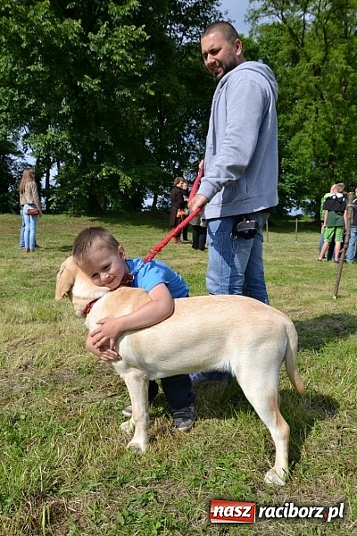 Zdjęcie w galerii na portalu naszraciborz.pl: Tworków bawi się na Nocy Świętojańskiej wiadomości z regionu