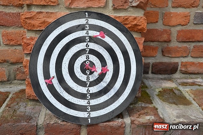 Zdjęcie w galerii na portalu naszraciborz.pl: PTTK zorganizował na zamku Dzień Dziecka  wiadomości z regionu