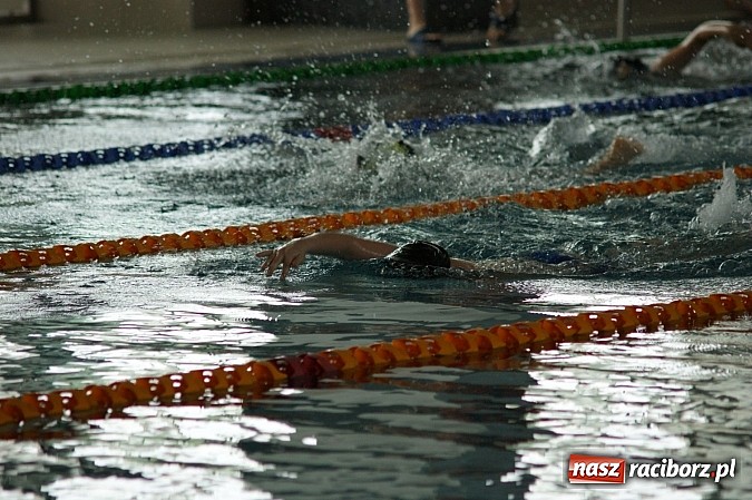 Zdjęcie w galerii na portalu naszraciborz.pl: Integracyjny festiwal pływacki na Dzień Dziecka wiadomości z regionu