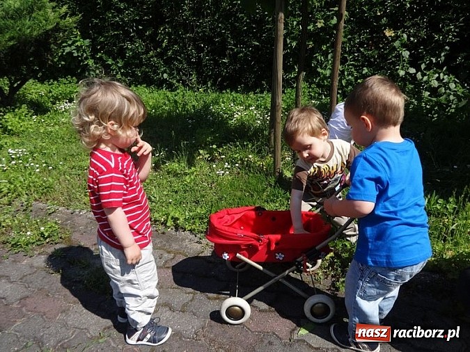 Zdjęcie w galerii na portalu naszraciborz.pl: Majówki grupy Fiku-miku w RCK wiadomości z regionu