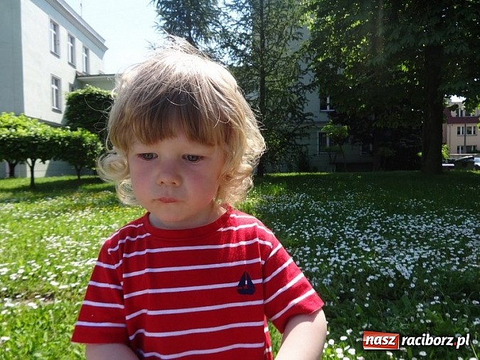 Zdjęcie w galerii na portalu naszraciborz.pl: Majówki grupy Fiku-miku w RCK wiadomości z regionu