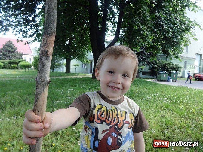 Zdjęcie w galerii na portalu naszraciborz.pl: Majówki grupy Fiku-miku w RCK wiadomości z regionu
