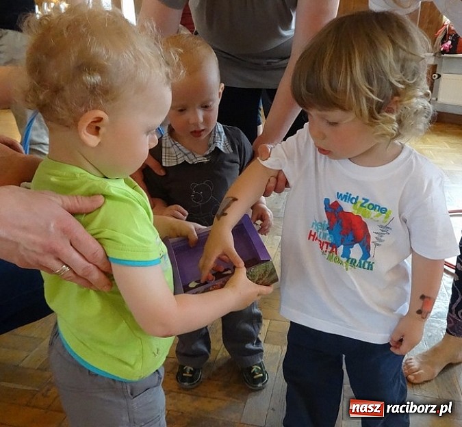 Zdjęcie w galerii na portalu naszraciborz.pl: Majówki grupy Fiku-miku w RCK wiadomości z regionu
