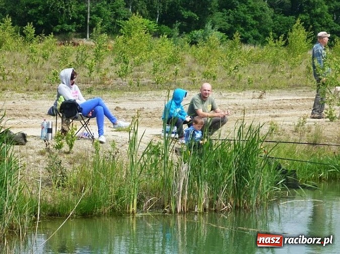 Zdjęcie w galerii na portalu naszraciborz.pl: Ryba brała na wędkarskim Dniu Dziecka na Babiczoku wiadomości z regionu